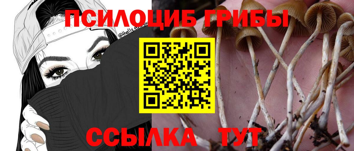 Псилоцибиновые грибы ЛСД  Псилоцибиновые грибы Cubensis  Энгельс  Вход с VPN 